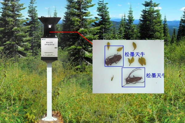 MC-HCTN型物聯(lián)網(wǎng)天牛智能監(jiān)